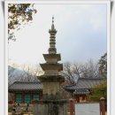 조계종 제8교구 본사 김천 황악산 직지사[黃嶽山 直指寺] 이미지