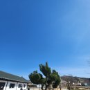 석현목장 이미지