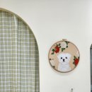 라이크테테 이미지