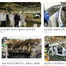 커튼 뒤에 숨겨진 마약 이야기 | 르노코리아 부산공장 생산 계약직, 상위 1% 전문가의 분석과 40대 현장직의 땀내 나는 실전 후기