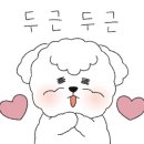 애견백화점 동탄점 네이버블로그