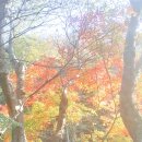 동창 이미지
