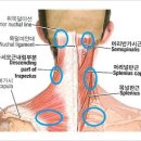 신성한의원 이미지