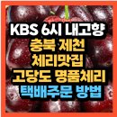 KBS 6시 내고향 충북 제천 체리맛집 고당도 명품체리 택배주문 방법