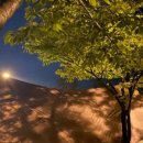 문암1리항 이미지