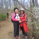 민통선농가집 이미지