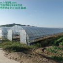 초촌면산직리보건진료소 이미지