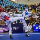 한국태권도 이미지