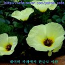 자생초농장 네이버블로그