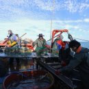 영식목장 이미지