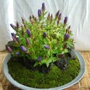 행복한하루 이미지