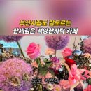 신선마을 공유센터 네이버블로그