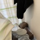 목감정형외과의원 이미지