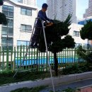 인천십정초등학교 이미지