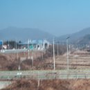 직지플러스