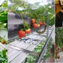 연중농장 이미지