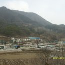 어상천우체국 Daum카페
