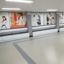 경희대태권스쿨 이미지