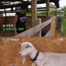 서진목장 이미지