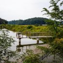 버들낚시터 이미지