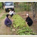 오륜농장 이미지