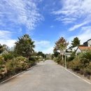 비자림스마일 이미지