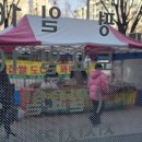 시화종합동물병원 이미지