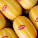 성주농장 이미지