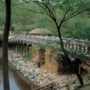 사화로-4 이미지