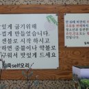 일죽셀프오리