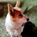 돌트미스테이 이미지