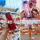시너지언 | 내돈내산 시너지 메가원팩주스 리얼 후기[2] 3주,4주 스토리/ 독소배출 혈액청소 혈관클렌징 디톡스...