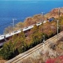 꽃나루공원화장실 이미지