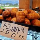 빵동산