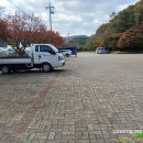 정읍 내장산 이미지