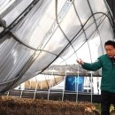 김영환농장 이미지