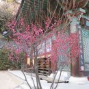 장림2동-5 이미지