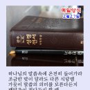 매일양식2