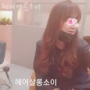 헤어살롱 소이