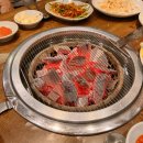 고기가카페