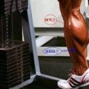 진짜 헬스장 이미지