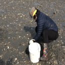 선유도민박 이미지