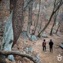 칠곡 가산산성 Daum카페