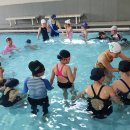 영주시 실내수영장 이미지