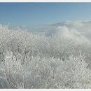 철수머리 - 양주시 삼숭로38번길 80 | 철수머리