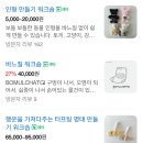 라운드베리즈