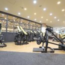 타워휘트니스 이미지