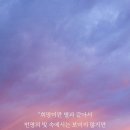 하루하루 이미지