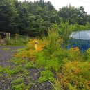 사랑농장 이미지