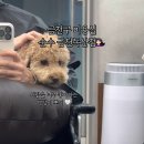 순수 금천독산점